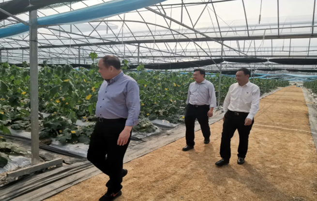 吴至海赴于都县调研指导蔬菜产业发展和农村人居环境整治工作