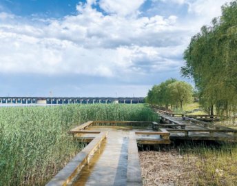 生态修复工程完工180亩河道水绿交融:永定河丰台段又添明珠
