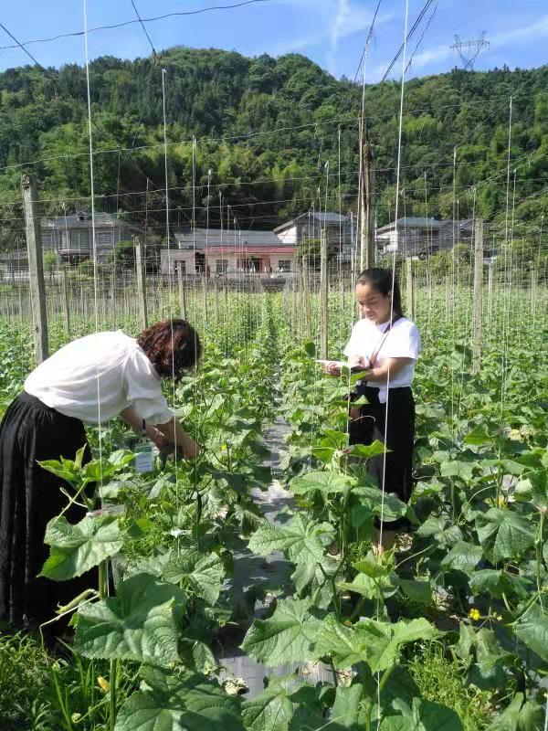 中方县强化源头监管 守住节前农产品质量