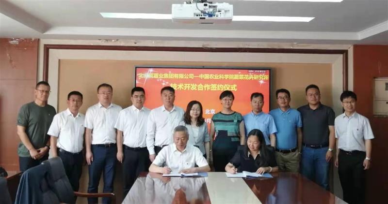 科企合作助力马铃薯种业创新 中国农业科学院蔬菜花卉研究所与北大荒薯业集团签署合作协议
