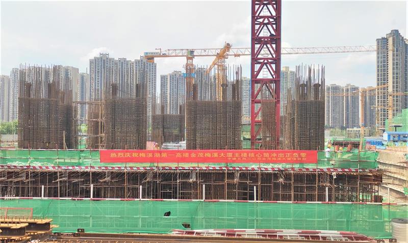 湖南长沙超高层动臂塔吊民工“建”证