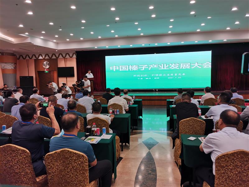 中国榛子产业发展大会在山东诸城举行