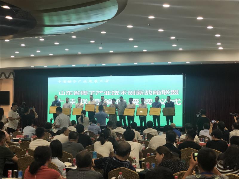 中国榛子产业发展大会在山东诸城举行