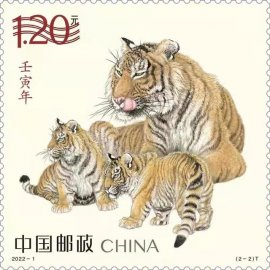 中国邮政《壬寅年》特种邮票印刷开机仪式在京举行