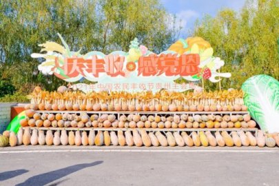 2021年中国农民丰收节贵州主会场活动在毕节举行