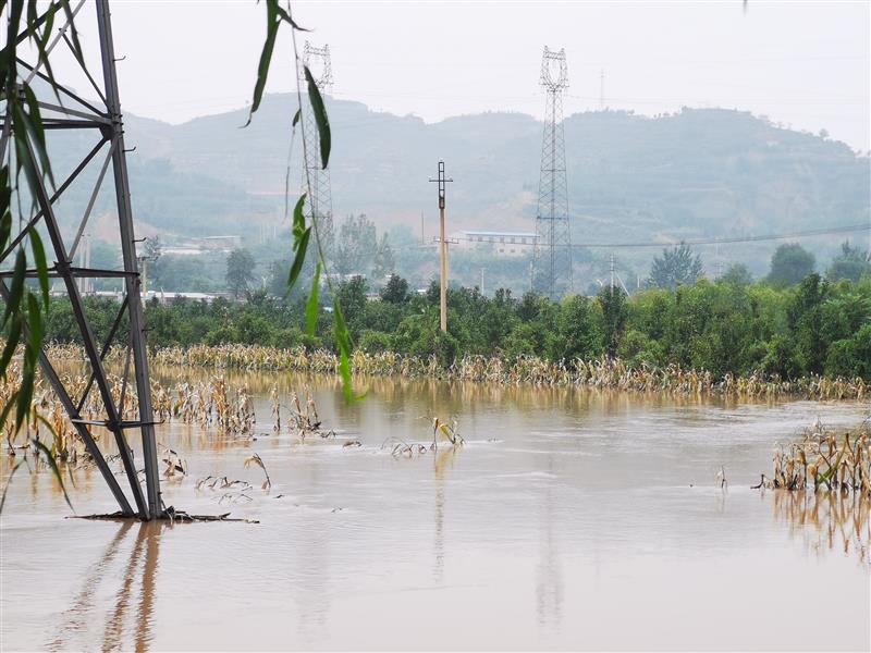 山西晋中：技术专家下乡服务，农机具进田排涝