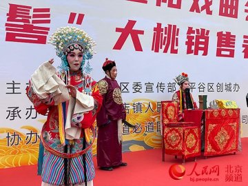 北京平谷举办重阳戏曲会为老年人带来节日问候