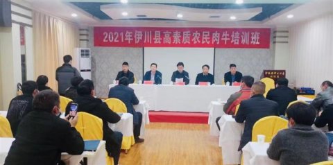 河南省洛阳市伊川县2021年高素质农民肉牛培训班举办