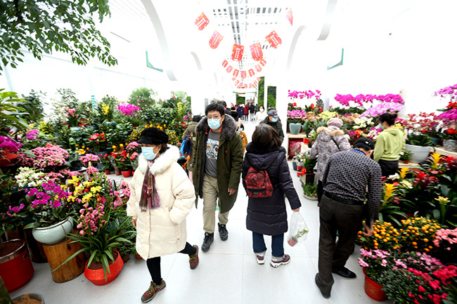 2022北京迎春年宵花展“靓”相中小型家庭园艺受市民青睐