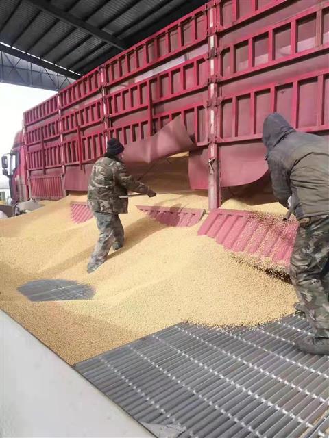 黑龙江农发行为大豆产业助力