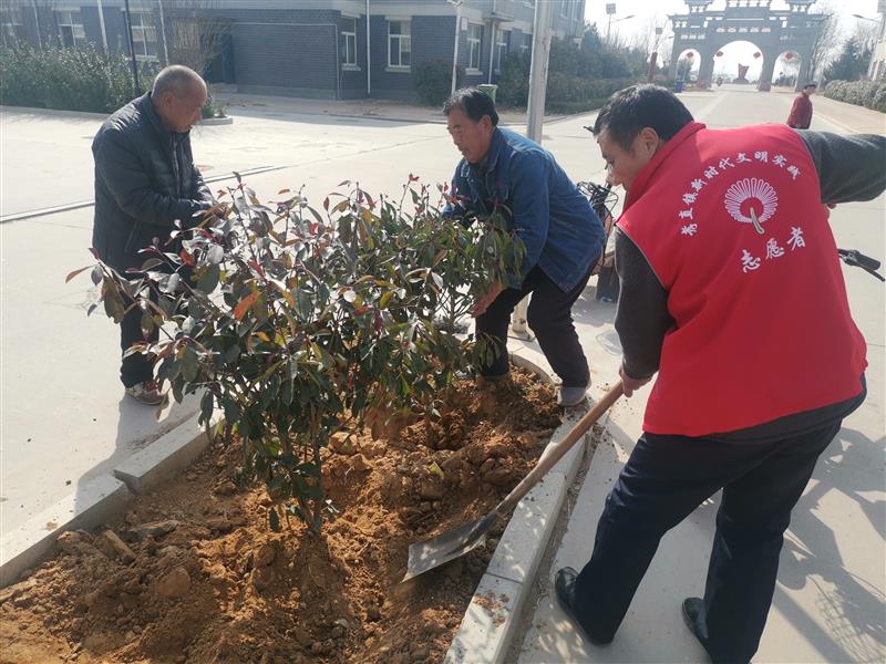 平阴县孝直镇：开展志愿服务 推广植树增绿