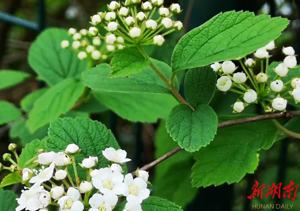 天空盛满春雨，小草睁开嫩绿小眼，一直