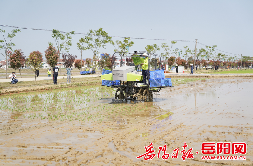 全省春耕生产暨耕地抛荒专项治理现场推进会在岳阳县召开