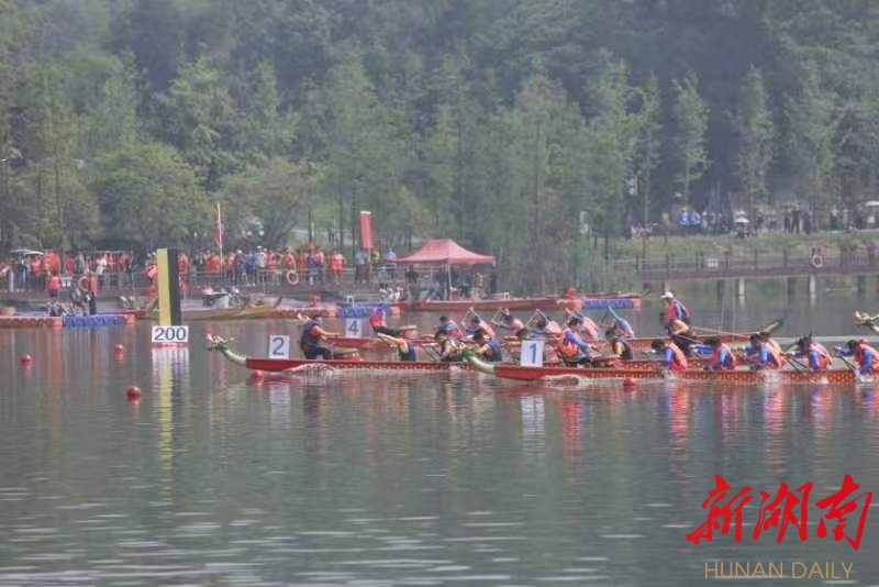 今年起，汨罗龙舟运动将遍地“开花”