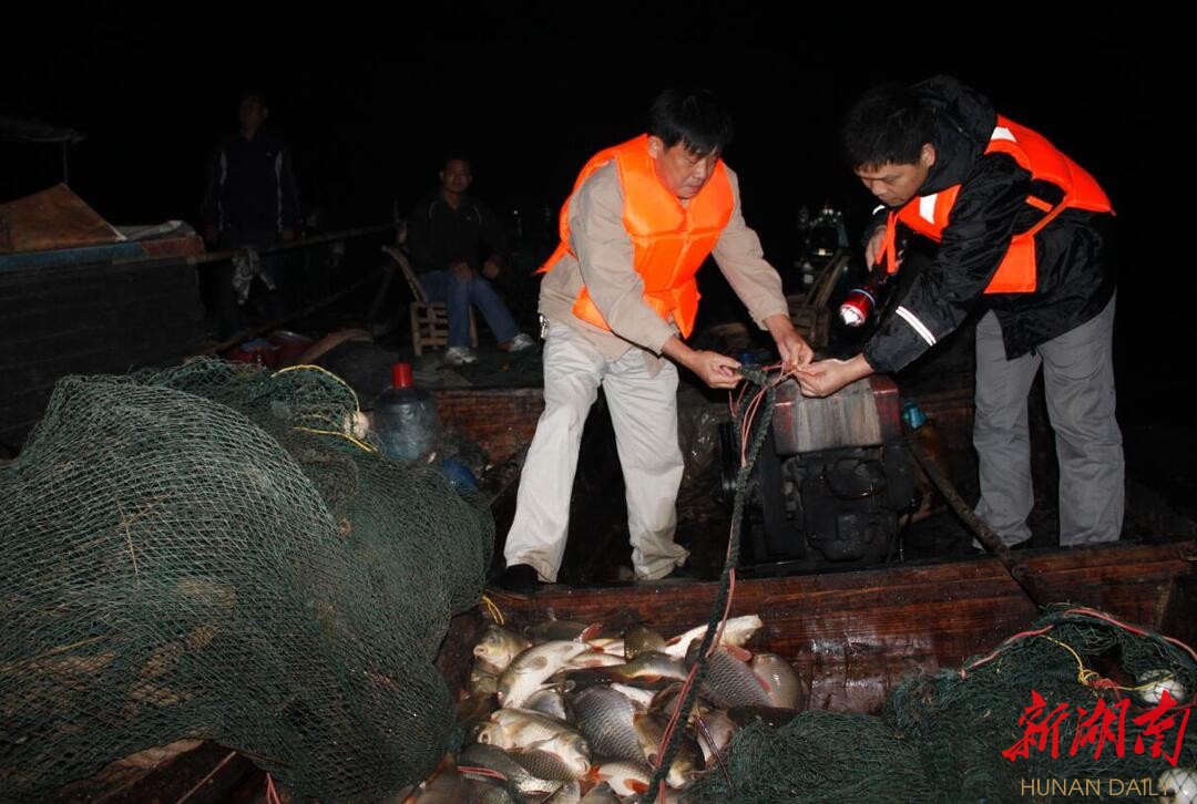 为豚哭为豚笑——岳阳市江豚保护协会志愿者的十年护豚路