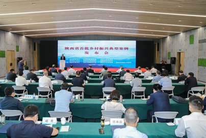 陕西省首批乡村振兴典型案例发布会在西