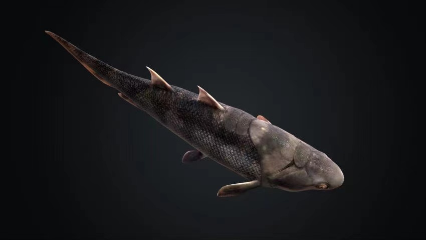 “从鱼到人”脊椎动物演化史关键点被找到