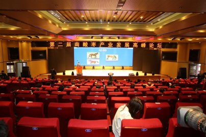 第二届南酸枣产业发展高峰论坛举行