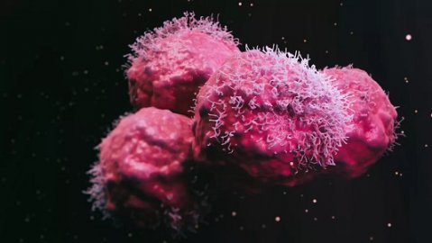 <b>独特基因让频繁患癌女性康复，有助研究癌症诊疗新方法</b>