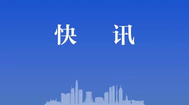 湖北省阳新县“一体四化”提升行政执法