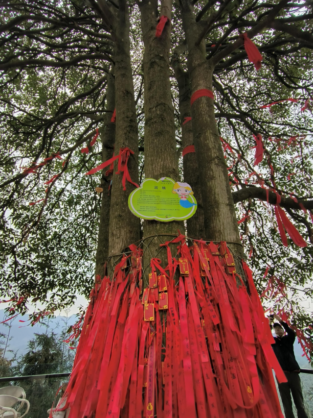 一群快乐的人 行走在自由的大地上——记四川省首届行走文化艺术节雅安海子山之行