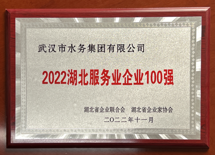 2022湖北省服务业企业100强名单出炉 武水