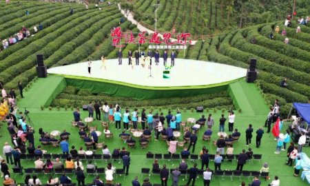 第四届陕西网上茶博会启动 4月至5月集中推广陕茶品牌