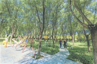 北京市建成127个新型集体林场 2.1万农民家门口生态就业