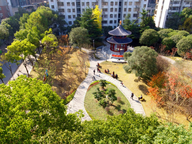 “绣花功夫”匠人心 方寸之地显美景 生