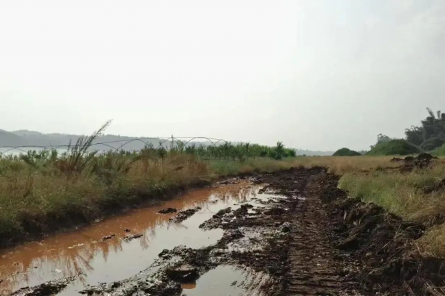 四川宜宾江之头成为第二批美丽河湖优秀案例