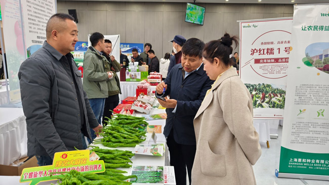 北京新发地举办春季种业博览会 以种业新质生产力绘就好“丰”景