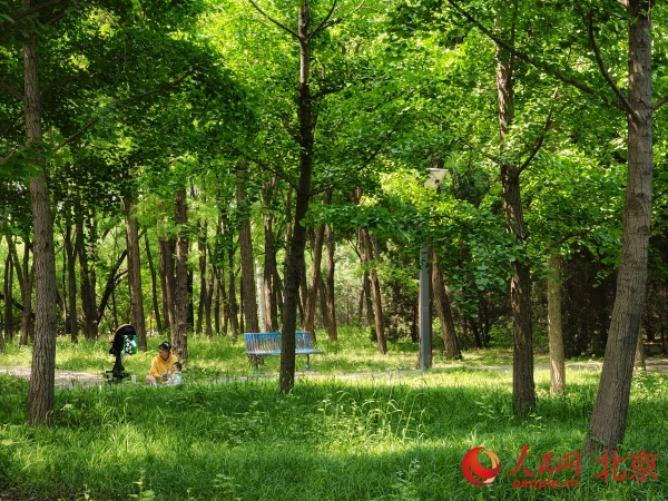 出门见绿开窗即景 北京持续提升城市生态品质