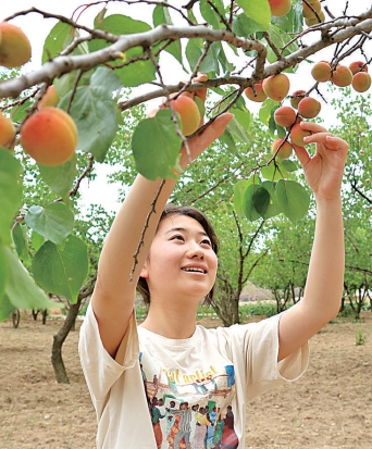 宁夏固原市原州区河川乡寨洼村：山洼披锦花果飘香富农家