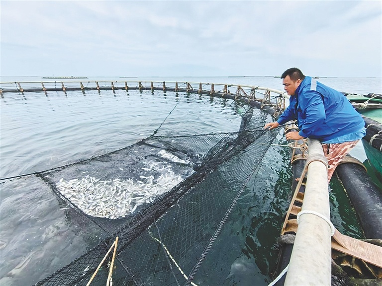 澄迈：科技兴海 逐浪深蓝