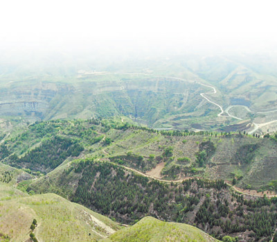 陕西植树造林增绿黄土地——“山坡坡栽