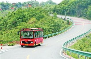 重庆沙坪坝：“四好农村路”连通百姓幸