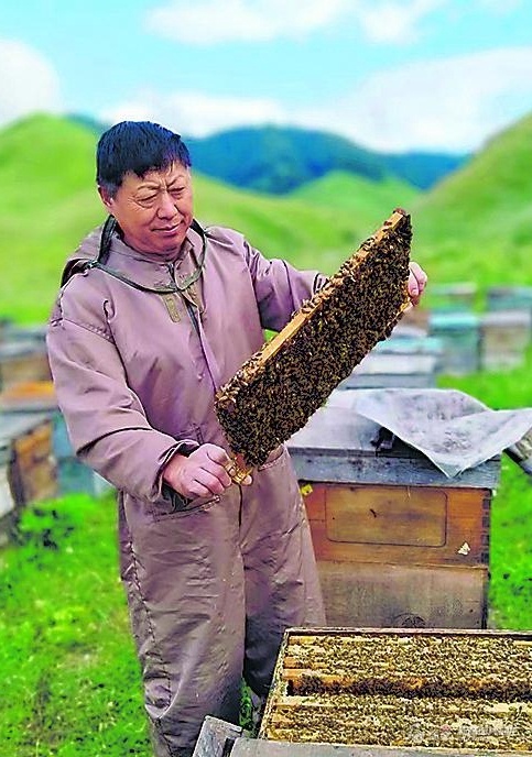 7月10日，蜂农在伊犁哈萨克自治州察布查尔锡伯自治县琼博拉镇克其克博拉村一处山坡查看蜜蜂的产蜜情况。盛夏时节，这里山花烂漫，养蜂人追花逐蜜，酿造甜蜜生活。（摄影：华岩明）