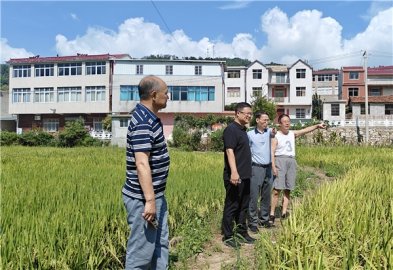 荒田焕新生，共同缔造铺就振兴路