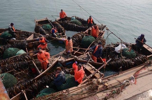 黄渤海休渔期结束 辽冀鲁沿海千帆竞发赴