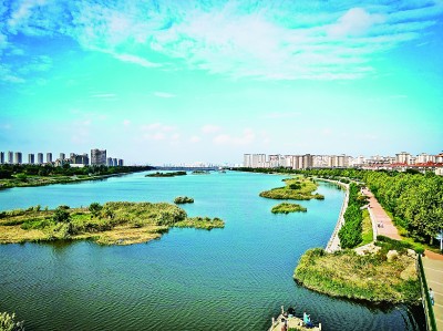 青岛白沙河湿地：草木葳蕤山鸟鸣