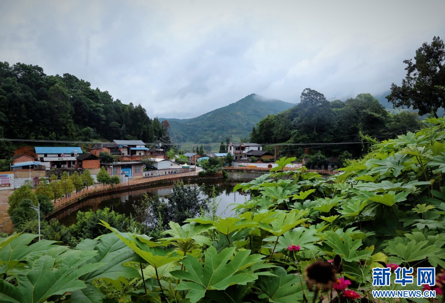 俯瞰斗南村村容村貌（9月11日摄）。新华网发（杨亦麟 摄）