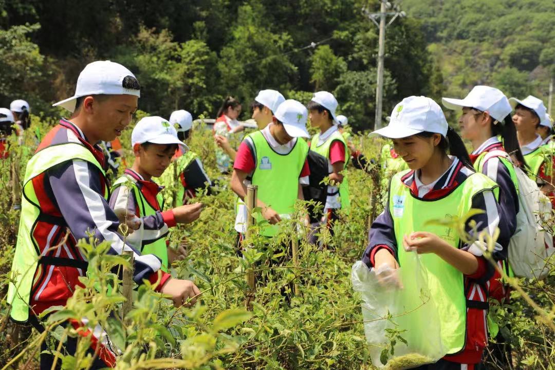 云南罗平县：多元业态解锁村集体经济壮