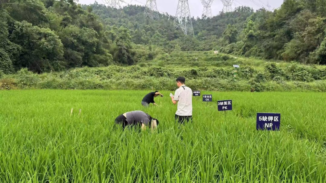 “田间课堂”接地气 劳作实践强党性