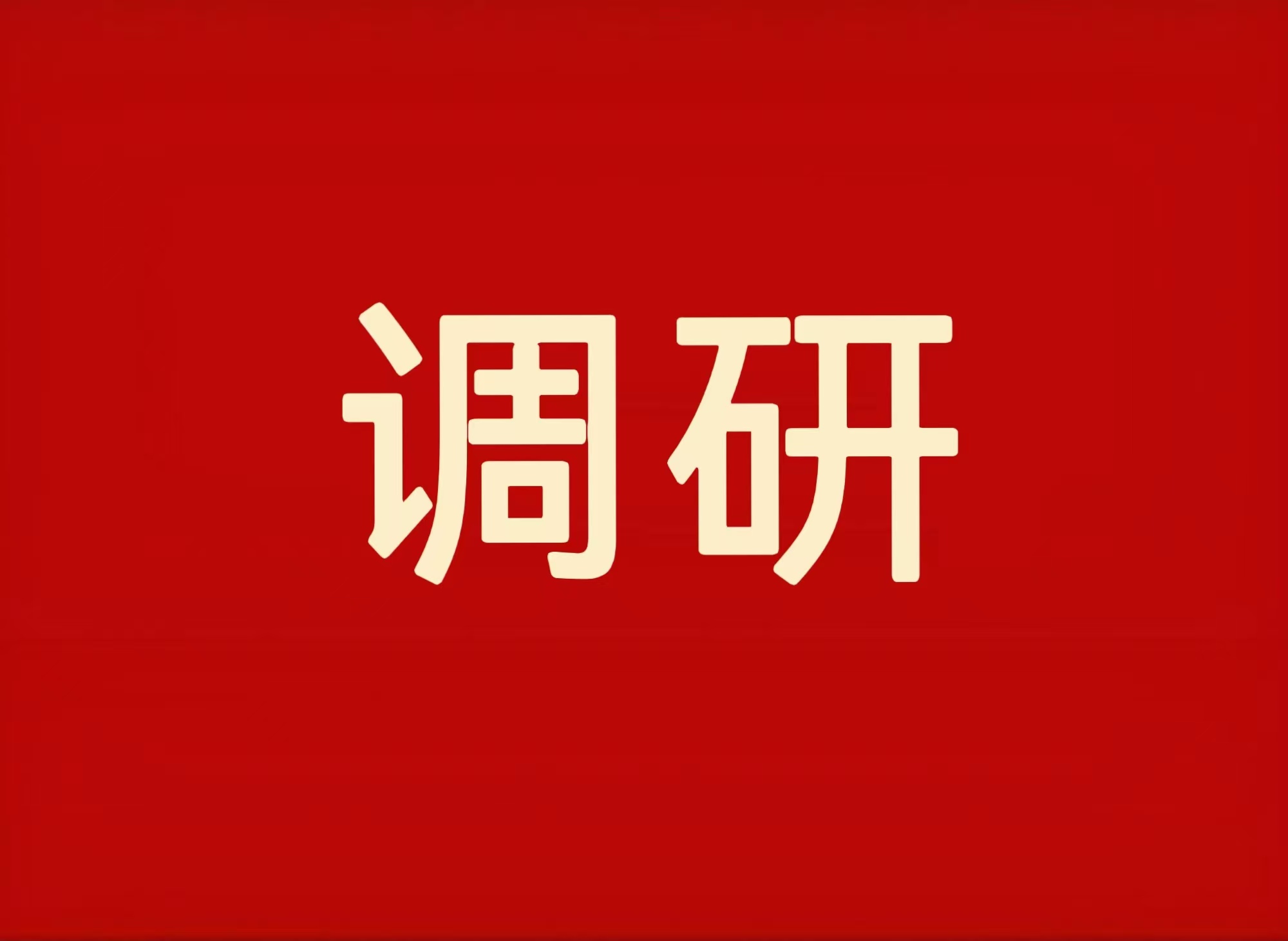 山东省枣庄市薛城区区委书记巴海峰调研