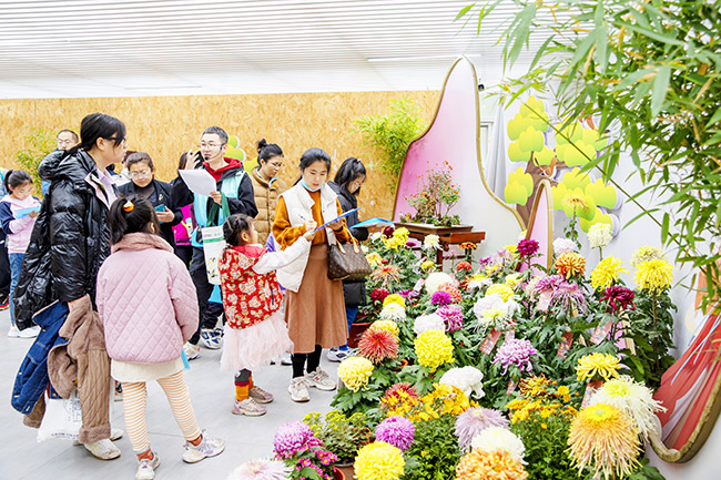 北京菊花擂台赛决赛举办 “燕山秋色”当选“菊王”