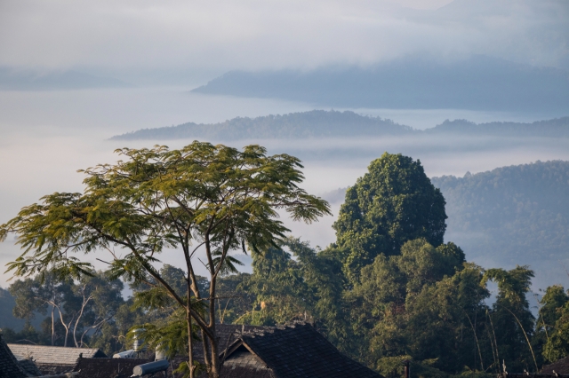 普洱景迈山古茶林文化景观申遗成功 成为