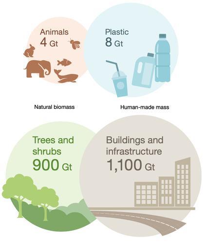 2020年：人造物质量超过全球生物质量