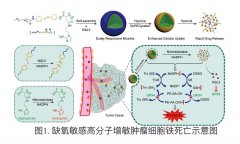 我科学家设计新型纳米武器精准打击癌细胞