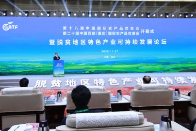 <b>脱贫地区特色产业可持续发展论坛在重庆召开</b>