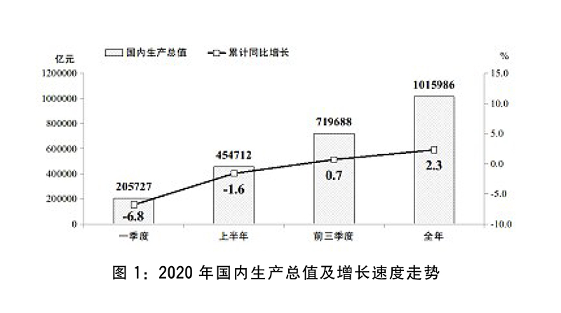  关于2020年国民经济和社会发展计划执行情况与2021年国民经济和社会发展计划草案的报告